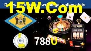 Instant EasyPaisa 788U